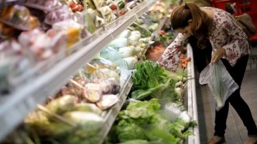 Las bolsas de arrastre o bobina son las que se buscan restringir con una nueva ordenanza en Bariloche. Archivo