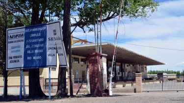 El caso de covid en personal del Senasa retrasa las exportaciones de frutas