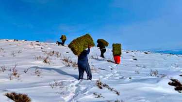 La rápida asistencia con forraje es fundamental para evitar una mayor mortandad de animales. (foto. gentileza)