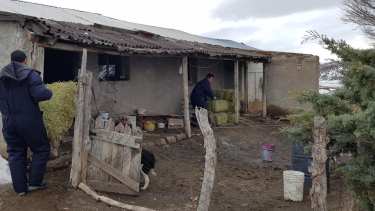 La situación en la zona de Comallo mejora con el paso de los días. (Foto: Gentileza)