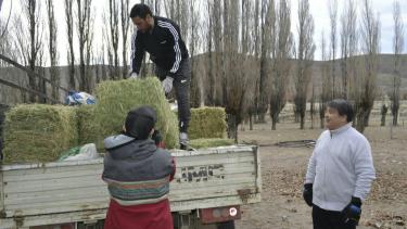 Productores reciben pasto y pellets de alfalfa. (Foto: Gentileza)