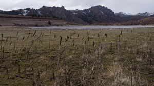 La laguna cerca de Bariloche que se quedó sin los juncos que le dan su nombre