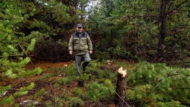 Alfredo Allen se radicó en Bariloche en 1982  y tiene 61 años. Su área a cargo arranca en Villa Llanquín, pasa por Bariloche, El Manso, El Bolsón y termina en Ñorquinco. 



Es oriundo de Quilmes. Foto: Marcelo Martínez.