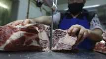 Imagen de En Neuquén la carne aumentó un 15 por ciento en una semana