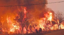 Imagen de Incendios, humedales y  produccion porcina, en pleno debate