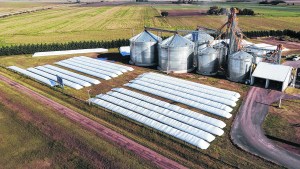 Posibilidades y límites del plan exportador