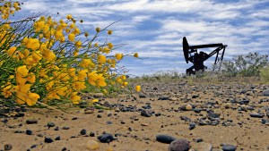 Apuestan a la remediación para reactivar la industria hidrocarburífera en Río Negro