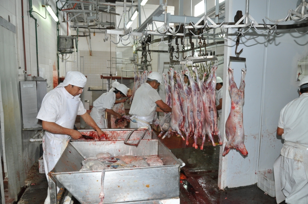 Los ex trabajadores de la carne buscan reactivar "su matadero". (Foto: José Mellado)
