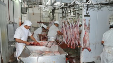 Los ex trabajadores de la carne buscan reactivar "su matadero". (Foto: José Mellado)