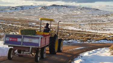 Los caminos "troncales" están despejados, pero se complican el ingreso a los campos. (Foto: gentileza)