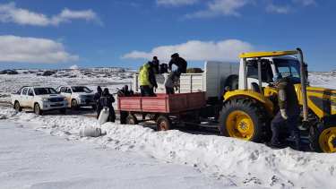 El operativo se desarrolla con varios vehículos. (Foto: Gentileza)