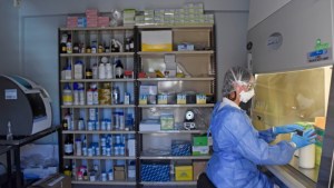 Neuquén cerró el lunes con 231 nuevos contagios y siete muertes por coronavirus