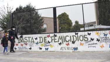 La ley fue sancionada por el Congreso en 2018 y lleva el nombre de Micaela García, que fue violada y asesinada en abril de 2017 en Entre Ríos. Foto Florencia Salto.