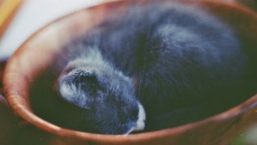 Pronóstico: así estará el tiempo este miércoles en la región