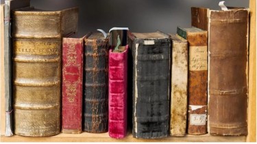 Se viene otro campus virtual de literatura de una escritora viedmense