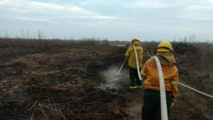 Brigadistas de Neuquén combaten el fuego en el Delta del Paraná