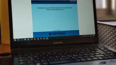 La inscripción al Renspa sólo será por autogetión. Foto gentileza. 