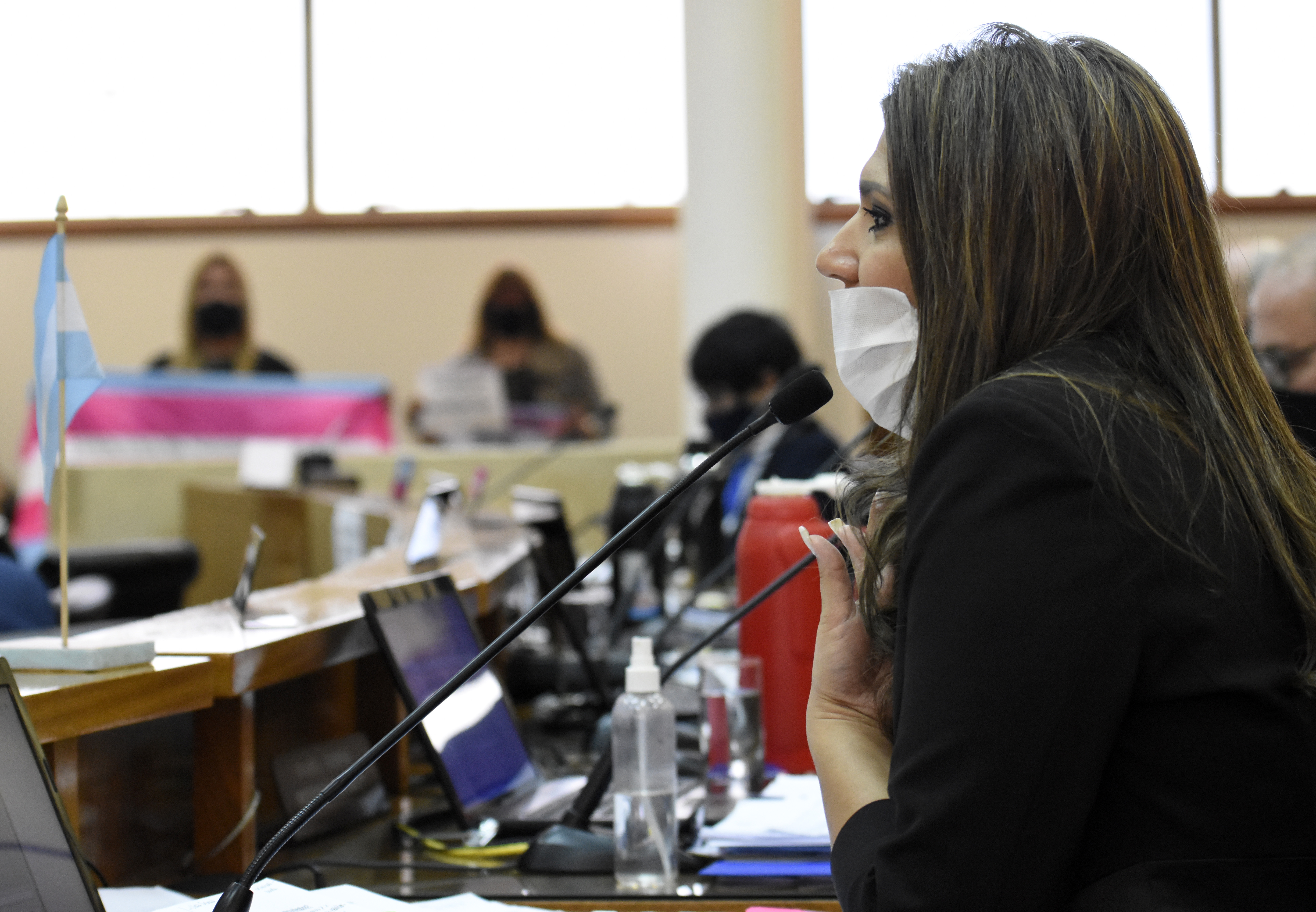 La concejal Nadia Márquez analiza pedir la inconstitucionalidad de la ordenanza sancionada (foto Florencia Salto)
