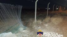 Imagen de Demoraron a un hombre en Centenario mientras intentaba robar un alambrado