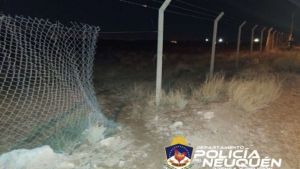 Demoraron a un hombre en Centenario mientras intentaba robar un alambrado