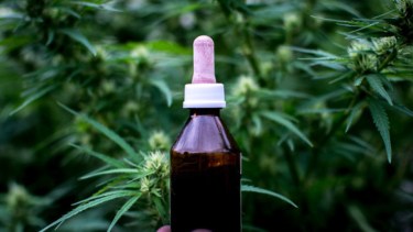 Los defensores del proyecto ponen como ejemplo localidades como San Antonio Oeste que ya aprobaron una ordenanza. Foto: archivo 