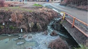 Desbordes cloacales en Roca: revés judicial para Provincia y ARSA