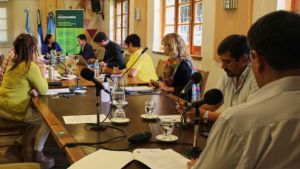 Un concejal de Bariloche votó en contra de su propio proyecto