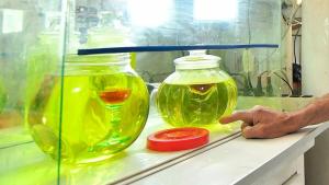 Dióxido de cloro: ANMAT recomienda no consumir medicamentos no autorizados