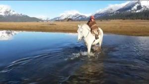 Benja, el gaucho de 7 años que cabalga la Patagonia: la historia detrás del video viral