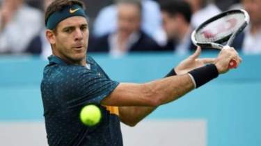 Del Potro recibió la visita de Wawrinka en Suiza