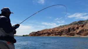 Diputados tratan el adelantamiento de la temporada de pesca en Neuquén