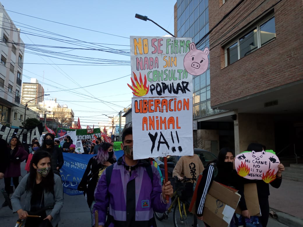 La marcha del 25 de agosto también se realizó en Neuquén, (Foto: archivo)