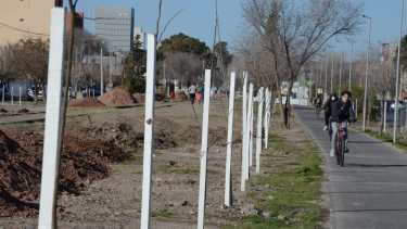 El municipio de Neuquén  ya se encuentra trabajando en la constitución del parque lineal al costado de la vía. (Foto: Yamil Regules)