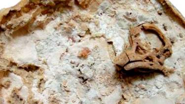 Foto: Prensa de Gobierno