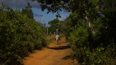 "Los caminos de Cuba" e adentra en las profundidades de la Cuba pocas veces vista.