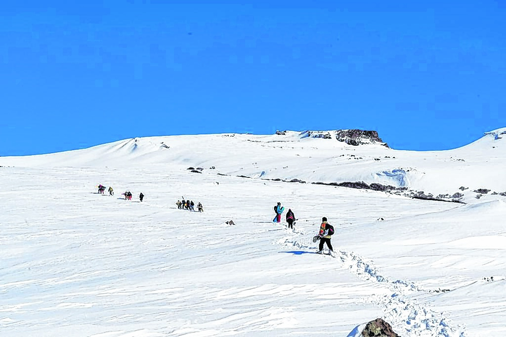 Cerro Las Horquetas Puipucón: subida suave pero constante. Foto gentileza Matías Cordero