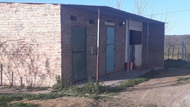 Durante el robo mataron a dos caballos en el club hípico de Conesa. Foto Gentileza: Conesa Informa Hoy.