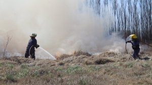 Bomberos de Centenario siguen apagando incendios