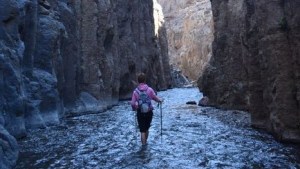 Cajón del Covunco: así es  por dentro esta joya del norte neuquino