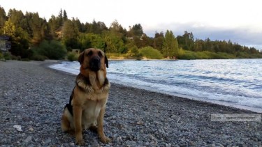 Tiempo inestable para este fin de semana 