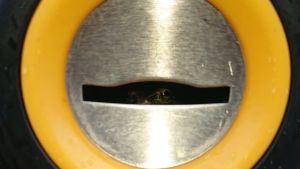 Fue a buscar una gaseosa en una expendedora y una sorpresa le sacó la sed