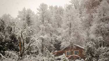 Nevada en San Martín de los Andes. Foto: Patricio Rodríguez