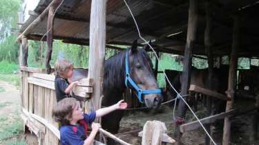  Ofrece destinos cercanos a los que es posible acceder sin tener que pasar por terminales de micro o aeropuertos