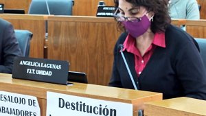 Renuncia de Lagunas abrió polémica por el reemplazo por género en el Concejo