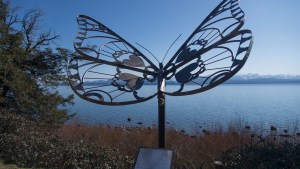 Noche sin alcohol: no habrá venta el sábado a partir de las 20 en Bariloche