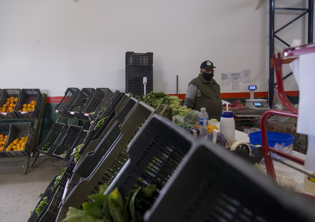 Verduras y frutas del Valle se ofrecen en el Mercado Comunitario de Bariloche. Foto: Marcelo Martinez