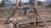 Imagen de Ocupaciones de tierra urbana avanzan sin solución en Bariloche