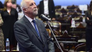 Diputados impuso a Carnaghi en reemplazo de Darío Martínez por ley de paridad