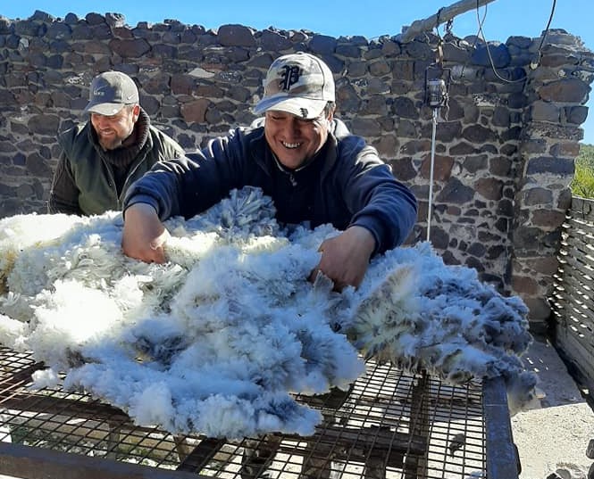 Tanto las lanas como el mohair presenta una muy buena calidad en el centro y este rionegrino. (foto: gentileza Miriam López)