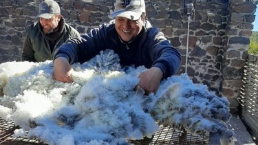 Tanto las lanas como el mohair presenta una muy buena calidad en el centro y este rionegrino. (foto: gentileza Miriam López)